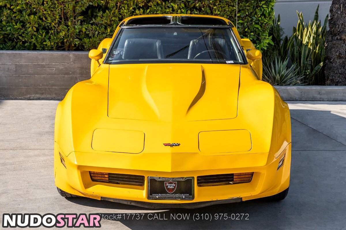 1982.corvette Nude  1
