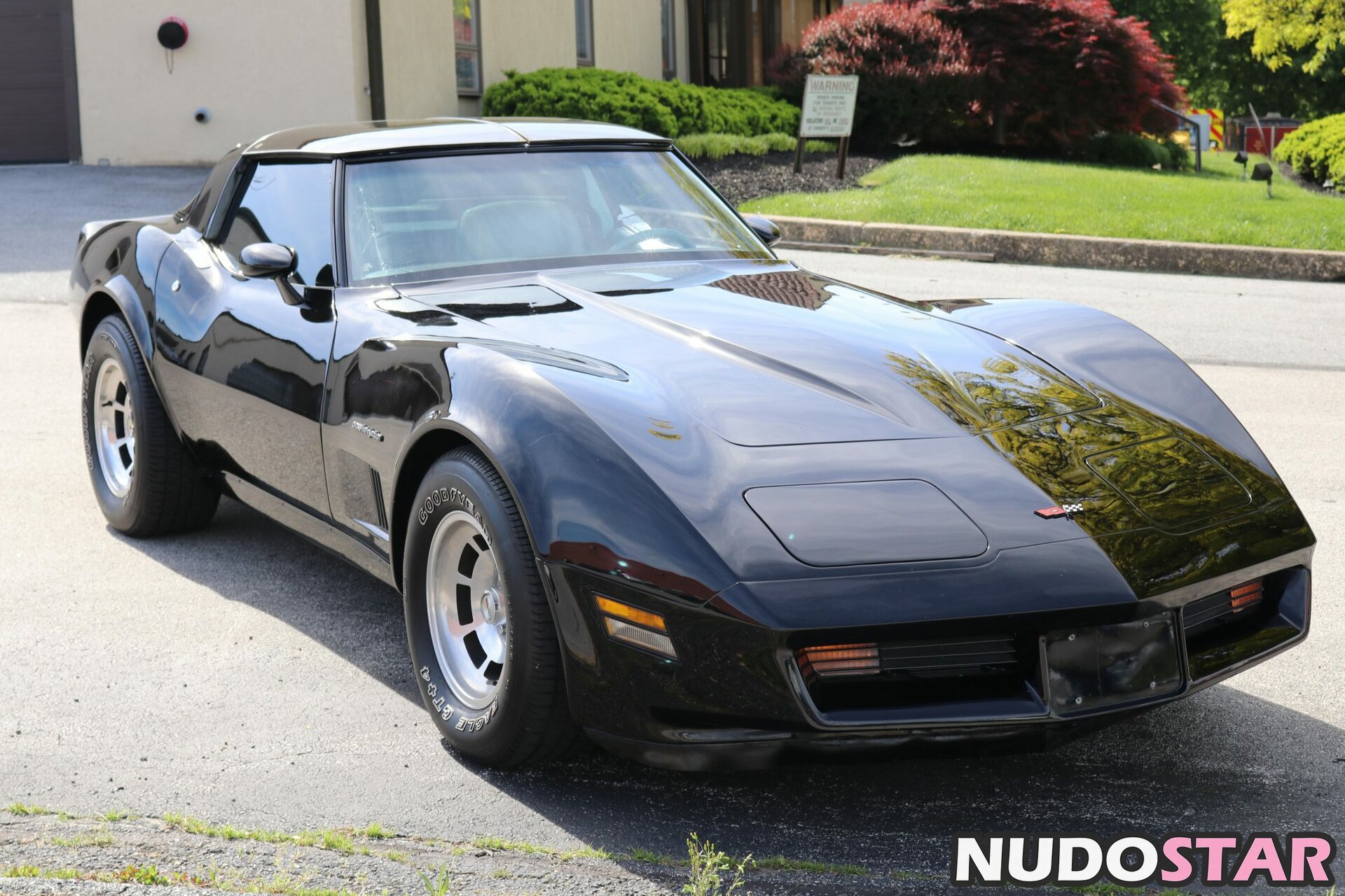 1982.corvette Nude  3