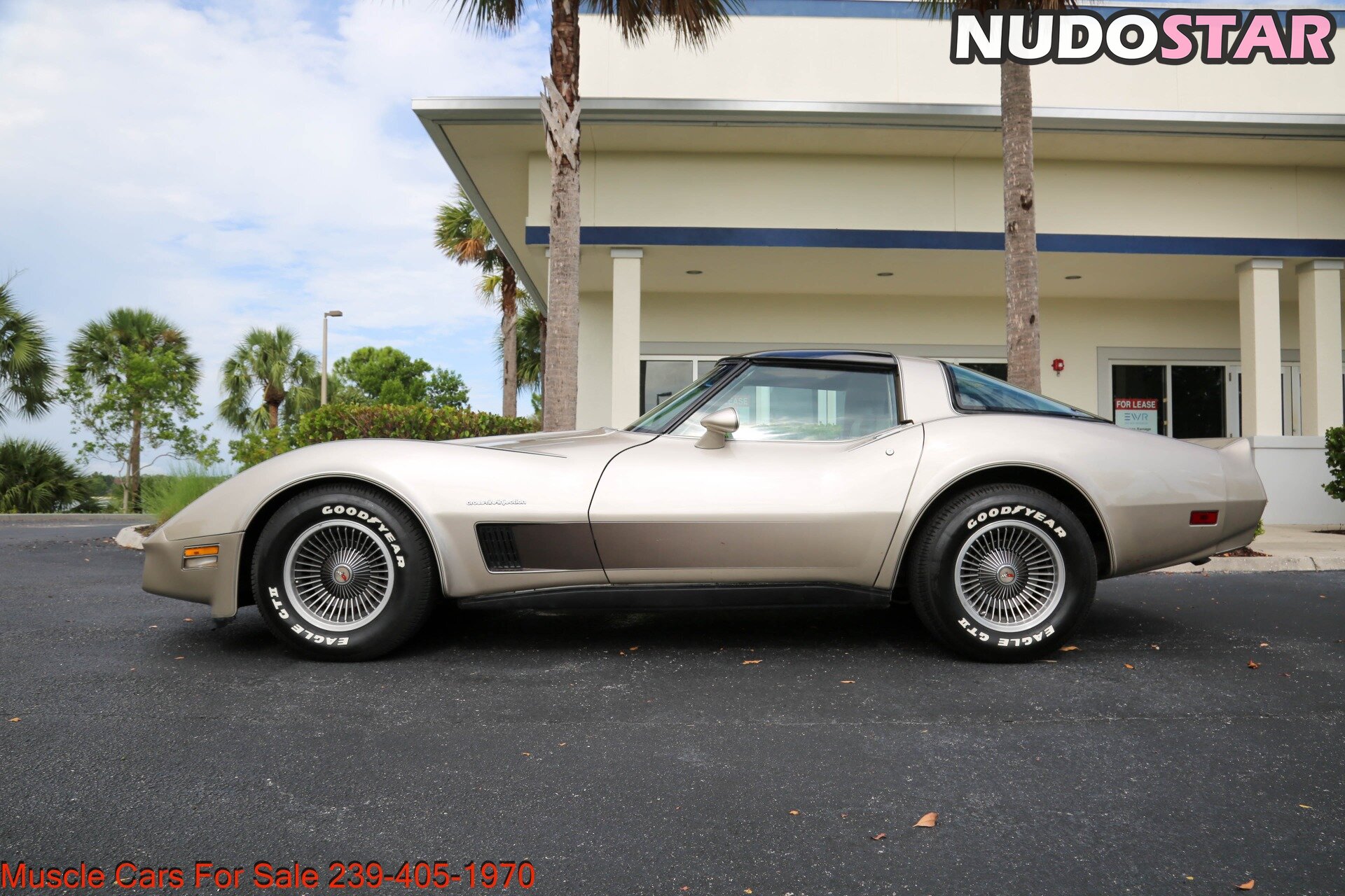 1982.corvette Nude  10