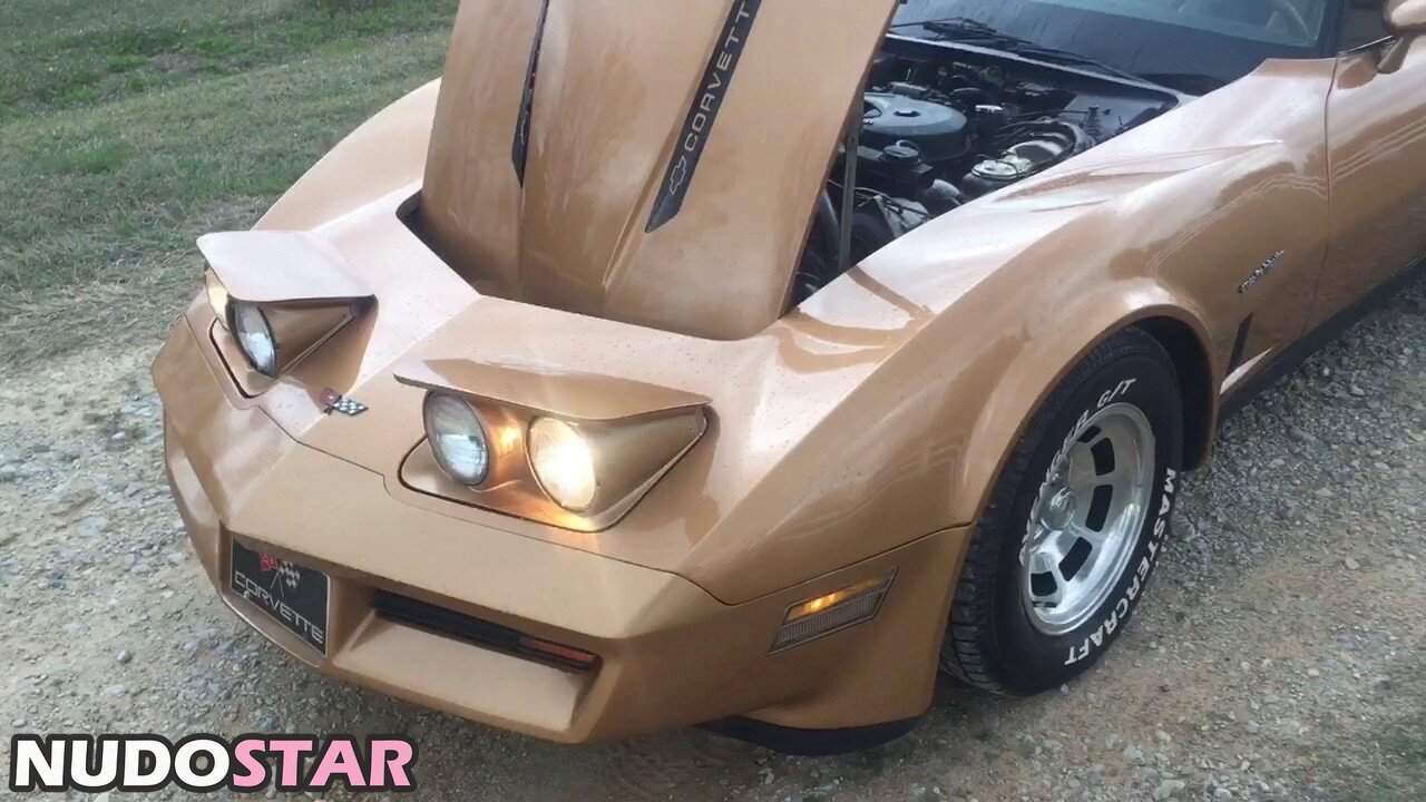 1982.corvette Nude  17