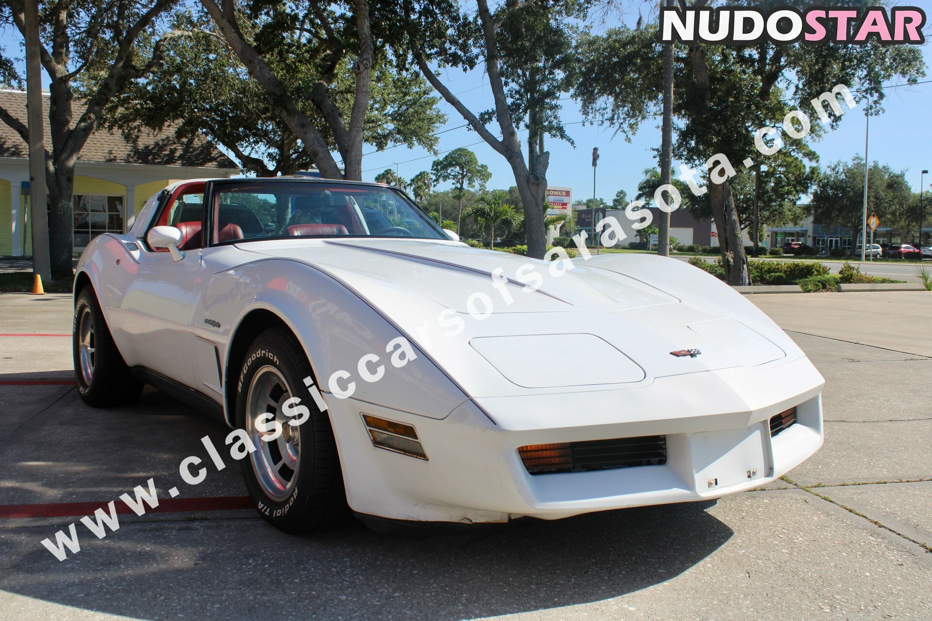 1982.corvette Nude  20