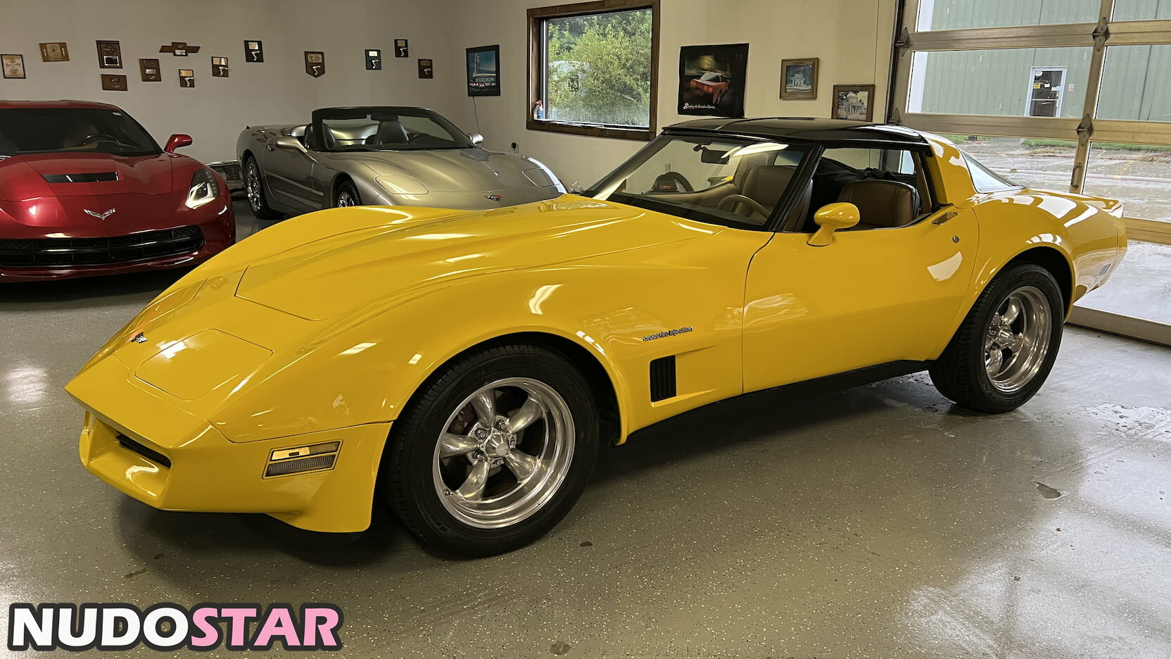 1982.corvette Nude  22