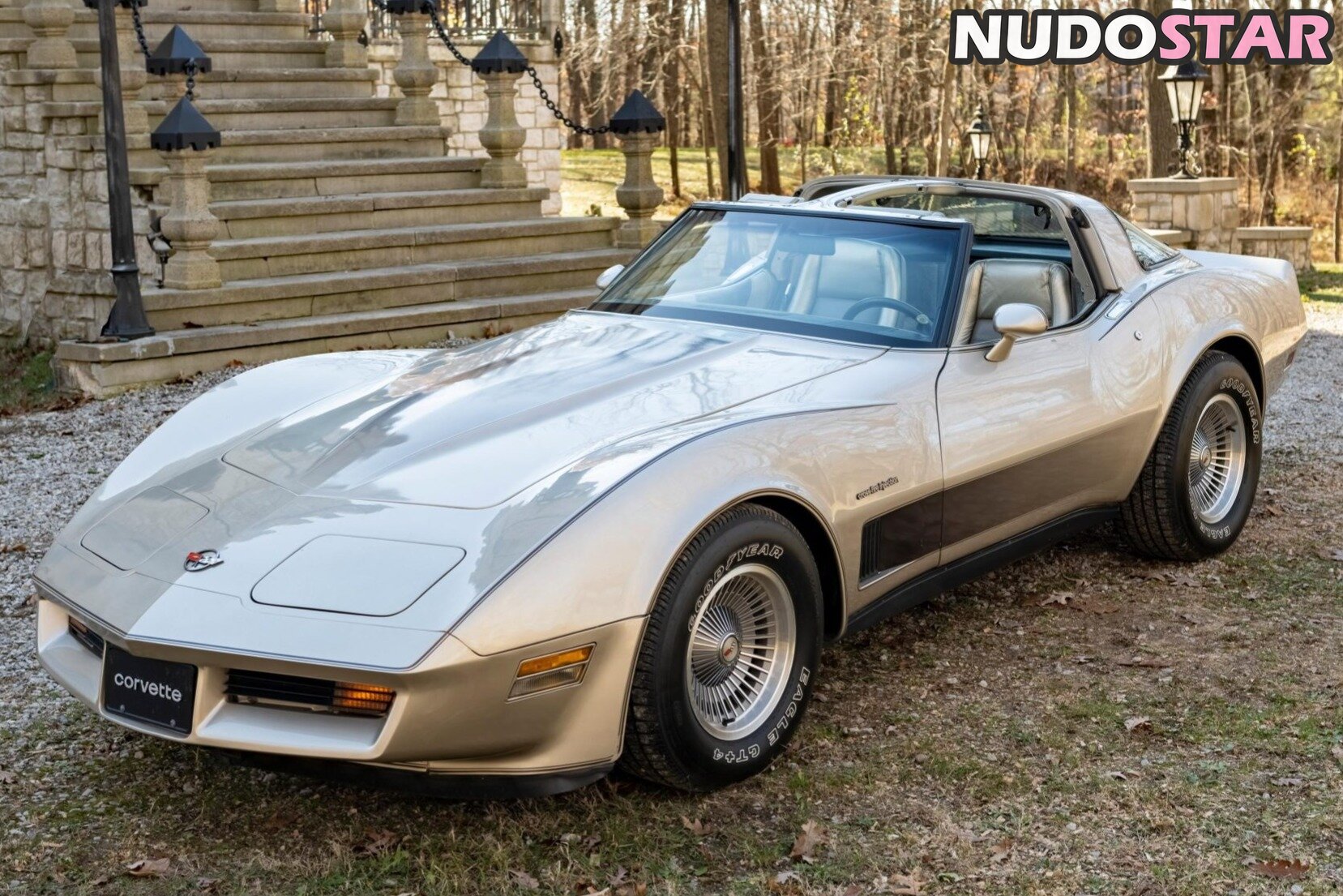 1982.corvette Nude  23