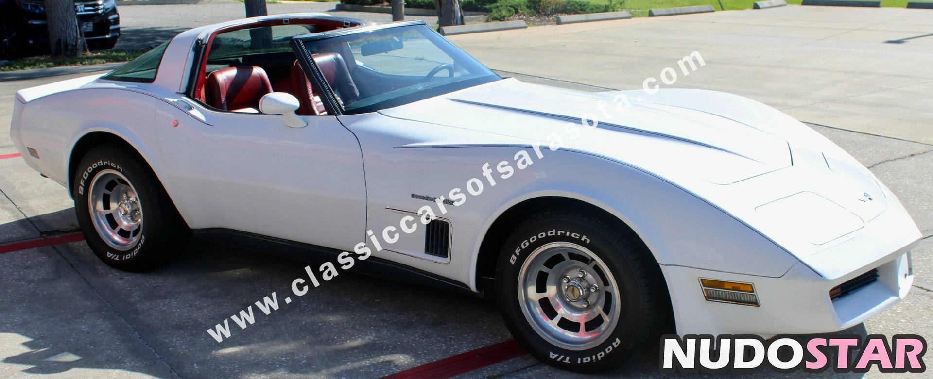 1982.corvette Nude  28