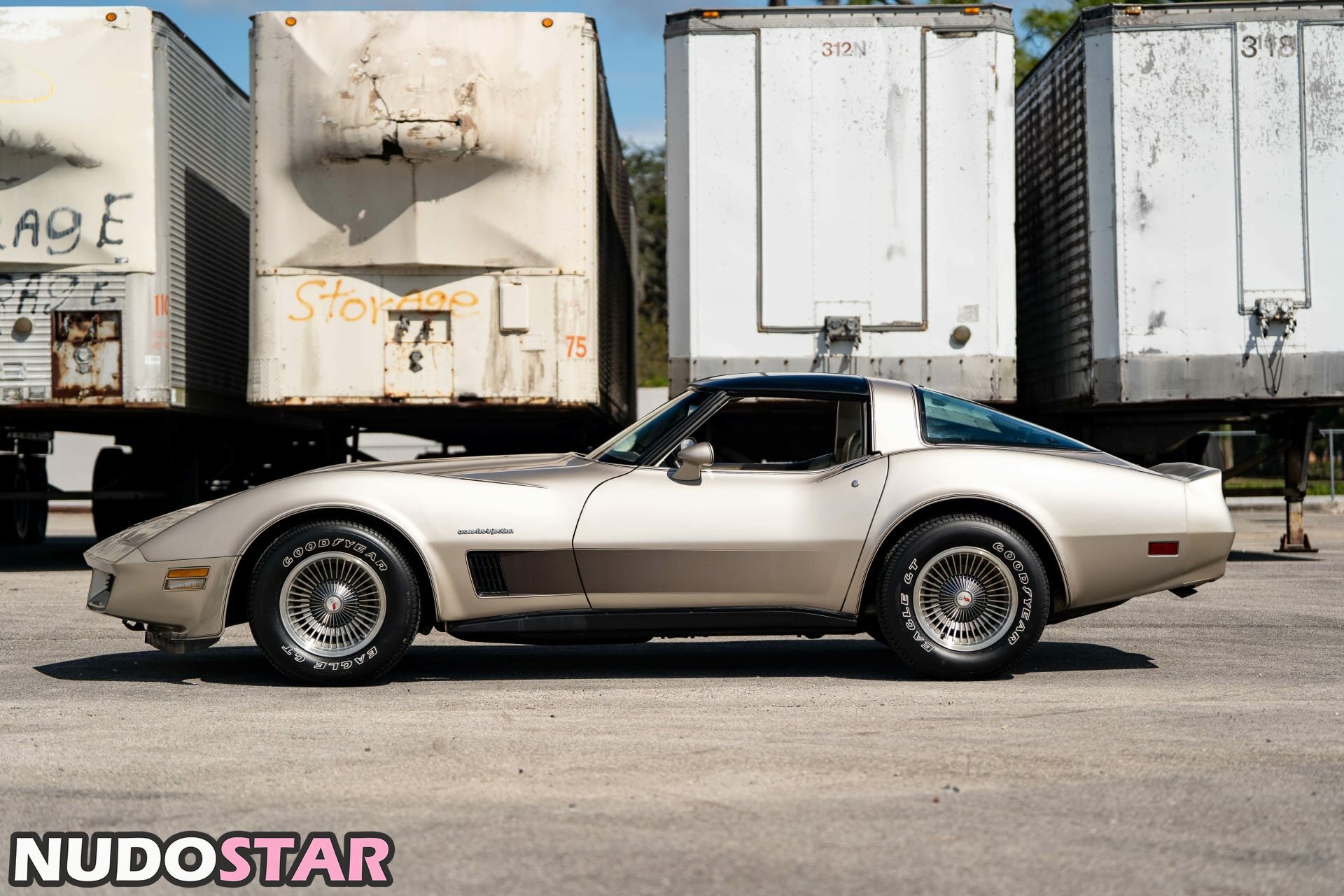 1982.corvette Nude  29