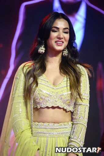 Sonal Chauhan / sonalchauhan Nude Leaks Photo 44