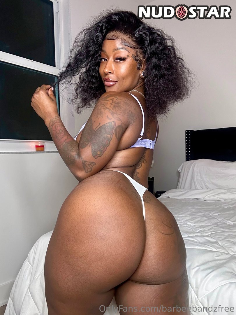 Barbee Bandz – barbeebandz Onlyfans Leaks (24 Photos)