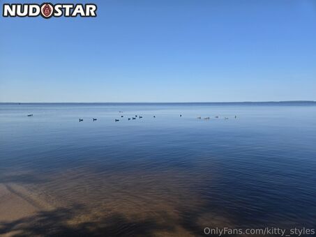 kitty_styles Nude Leaks Photo 32