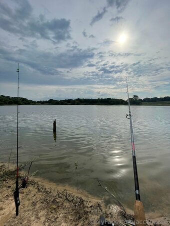 acclimate7 Nude Leaks Photo 29