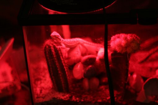 adelynmoore / adelyn_grace / https: Nude Leaks OnlyFans Photo 6