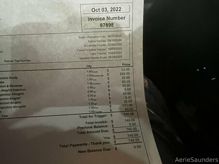 aeriesaunders Nude Leaks Photo 6