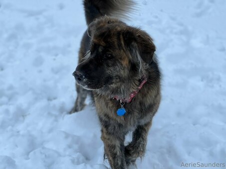 aeriesaunders Nude Leaks Photo 7