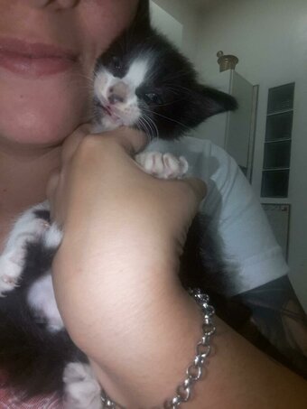 Afrodita / afroditacosmetics / afroditasofii Nude Leaks OnlyFans Photo 14