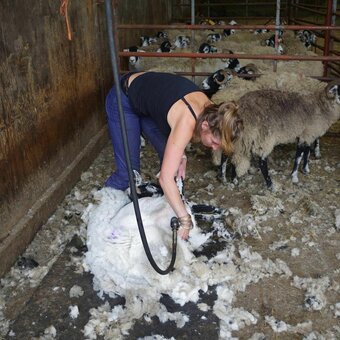 Amanda Owen / yorkshireshepherdess Nude Leaks Photo 10