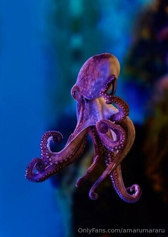 amarumararu Nude Leaks Photo 1