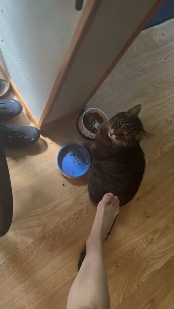 Ann Kathrin Bendix Nude Leaks Photo 9