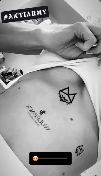 Antifuchs / antifuchsofficial Nude Leaks Photo 10