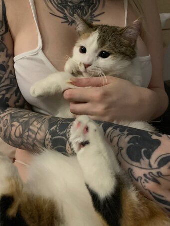 Aorta / aortacoop / https: Nude Leaks OnlyFans Photo 13