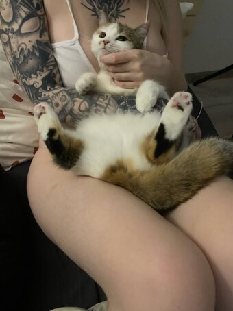 Aorta / aortacoop / https: Nude Leaks OnlyFans Photo 14