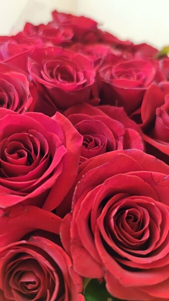 ashera_cat Nude Leaks Photo 23