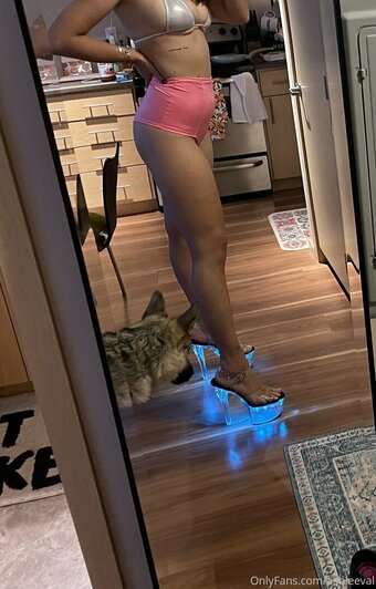 ashleeval Nude Leaks Photo 8