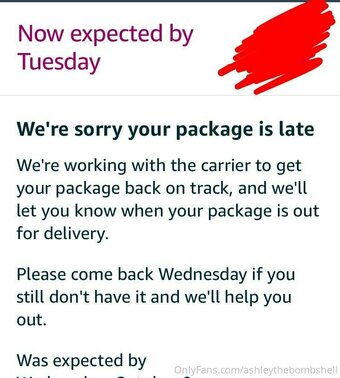 Ashleythebombshell / ashleyreloadeddd Nude Leaks OnlyFans Photo 24