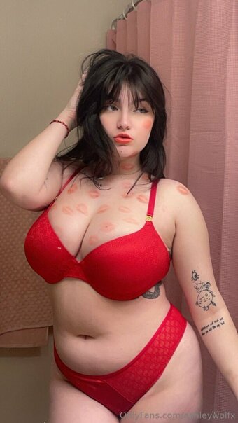 ashleywolfx / ashleywolfxo Nude Leaks OnlyFans Photo 19