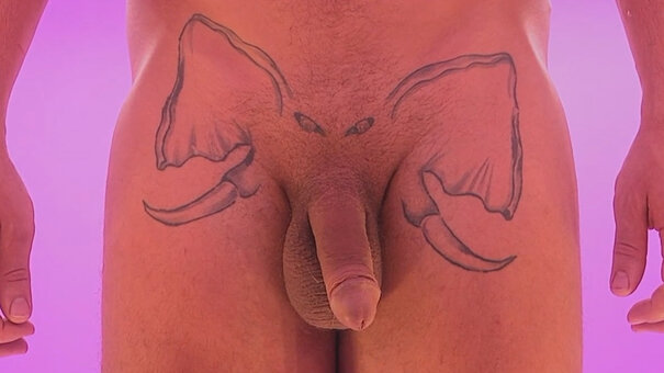 attraction Nude Leaks Photo 2