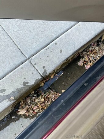 b33gi Nude Leaks Photo 8