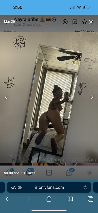 B4b1wvip / b4b1gr1 / b4b1wu / wayrademonsent / wuvoltage222 Nude Leaks OnlyFans Photo 13