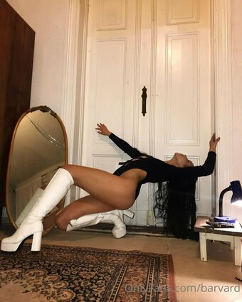 Barvard Nude Leaks OnlyFans Photo 4