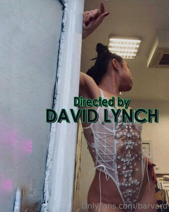 Barvard Nude Leaks OnlyFans Photo 24
