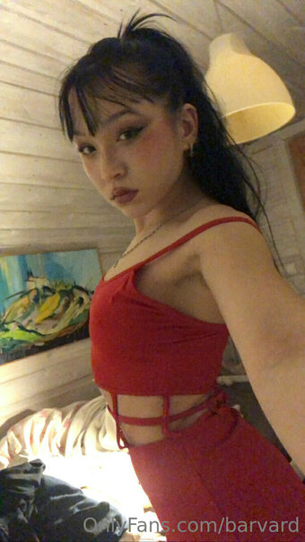 Barvard Nude Leaks OnlyFans Photo 28