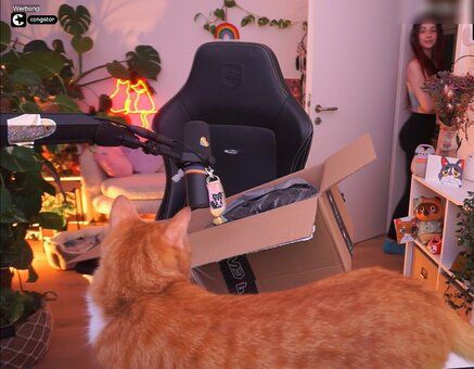 Baso / basostream Nude Leaks Photo 9