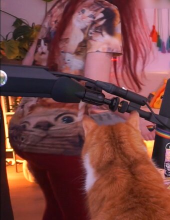 Baso / basostream Nude Leaks Photo 20