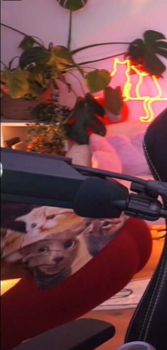 basostream Nude Leaks Photo 3