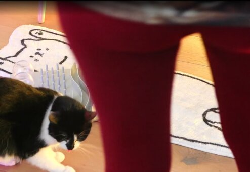 basostream Nude Leaks Photo 4