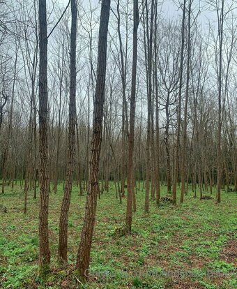 bendybombshell Nude Leaks Photo 22