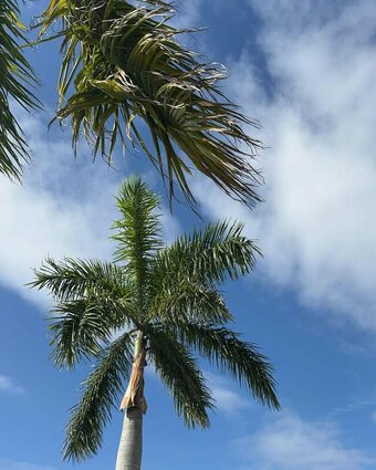 bittystegenga Nude Leaks Photo 4