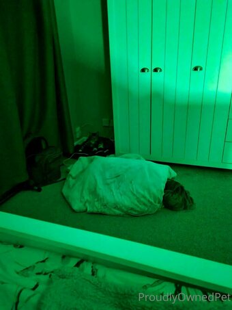 boundbyflames Nude Leaks Photo 18