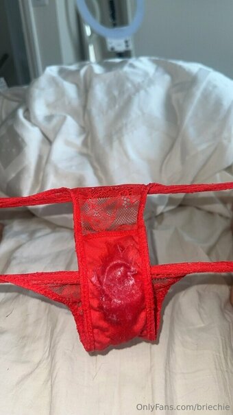 briechie Nude Leaks Photo 13