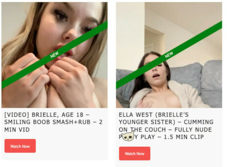 Brielle Pace / brielle_pace_ / jenaea17 Nude Leaks OnlyFans Photo 25