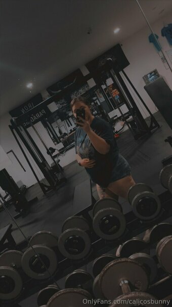 calicosbunny calicosbunny