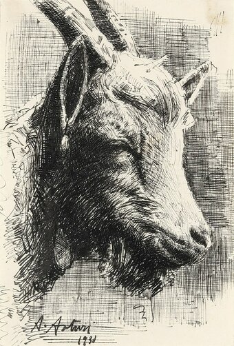 Capretta