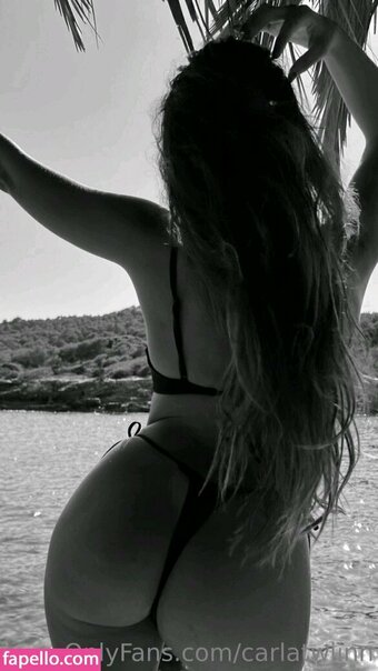 Carla / carlatwiinn Nude Leaks OnlyFans Photo 15