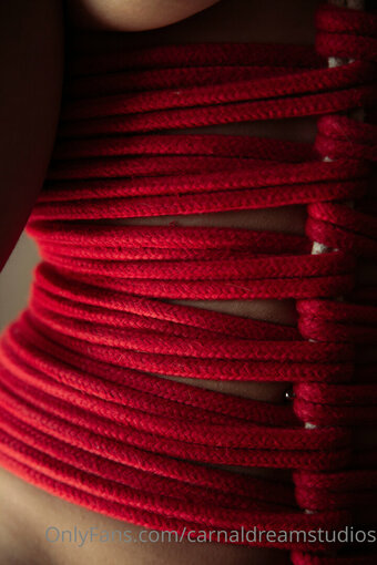 carnaldreamstudios Nude Leaks Photo 18