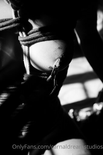 carnaldreamstudios Nude Leaks Photo 20