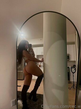 cec.w Nude Leaks Photo 9