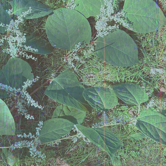 cedella01 Nude Leaks Photo 4