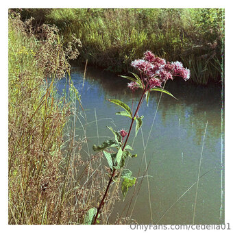 cedella01 Nude Leaks Photo 9